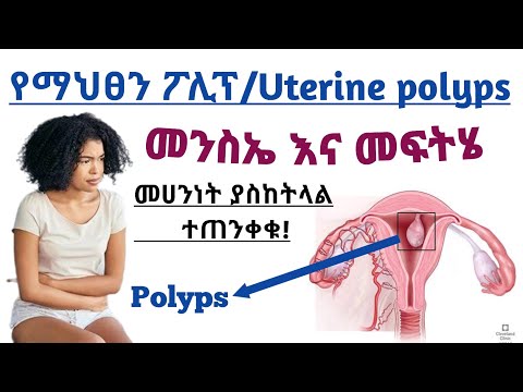 ቪዲዮ: አርካዲ ድቮርኮቪች፡የሩሲያ ፌዴሬሽን ምክትል ጠቅላይ ሚኒስትር የህይወት ታሪክ