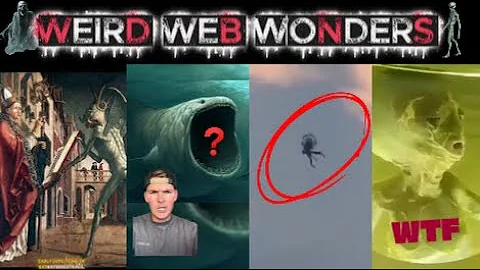 WEIRD WEB WONDERS VOL 82