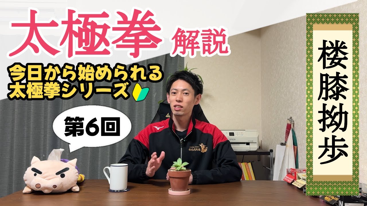 武　冬著、太極拳健身功法シリーズ①～⑤ 武 冬著、太極拳健身功法シリーズ①～⑤