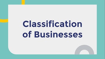 Classification of Businesses - Chapter 2 - Business Studies IGCSE