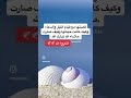 قصة جميلة ٦ عن قيام الليل قصة جميلة ٦ عن قيام الليل