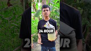 What will happen to these chips after 24 hours? #shorts