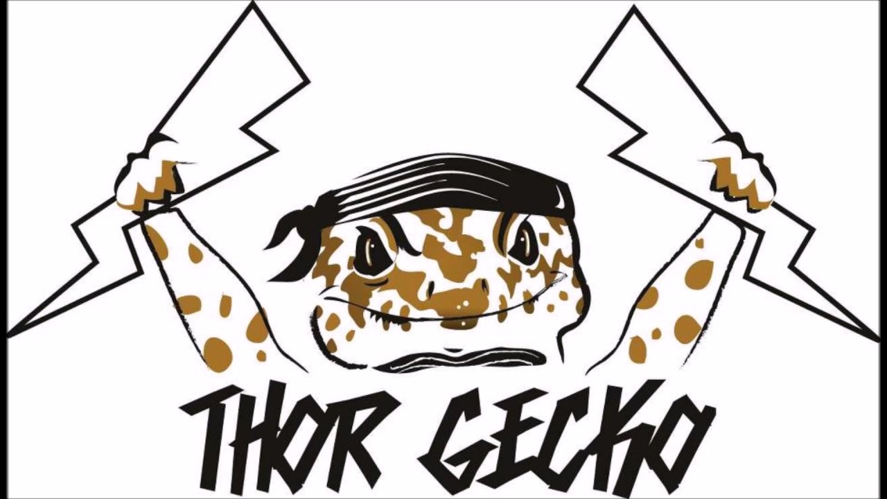 how to video while playing music #056 LATE NIGHT LEOS WITH MATTHEW BLACKCLOUD OF NOAH'S ARK REPTILE ADVENTURE