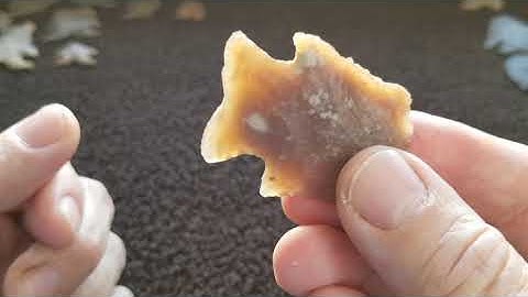 042 - Close-ups of Martindale and Frio Projectile Points