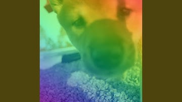 Pulsating Ambience for Roaring Pups