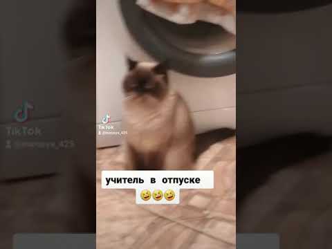 когда у учителей начинается отпуск