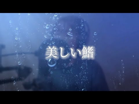美しい鰭（スピッツ）+3キー 劇場版『名探偵コナン 黒鉄の魚影（サブマリン）』cover. #歌ってみた