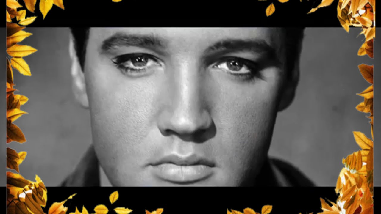 Elvis Presley - wide 6