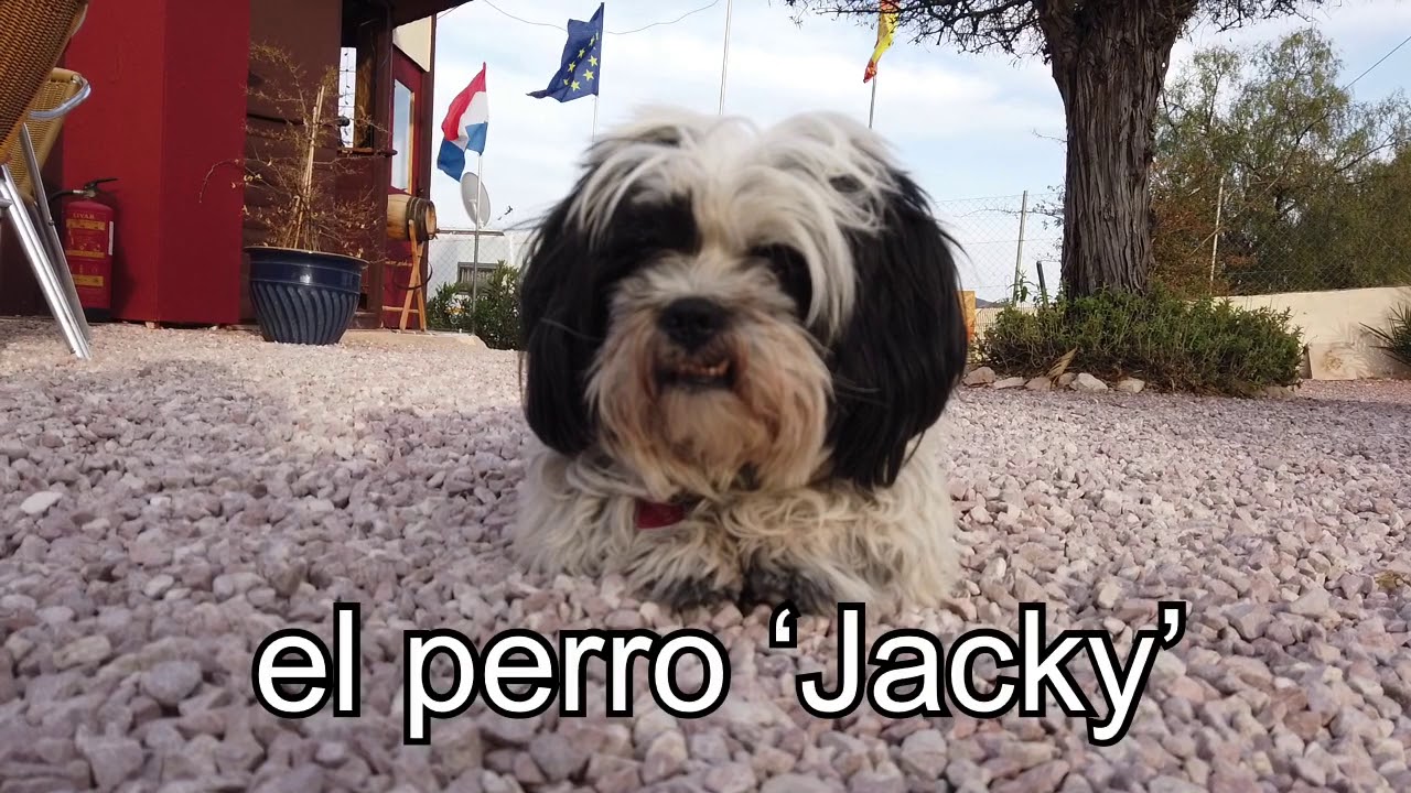 Minicamping "Finca EuroPeCa"