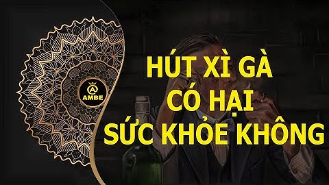 Hút x.ì g.à có hại sức khoẻ không | Những điều thú vị về c.i.g.a.r Phần 32 | Ambe