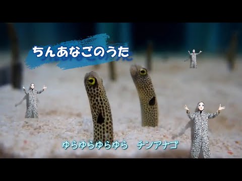 ちんあなごのうた（上品バージョン）を歌って、踊ろう！　kirakira