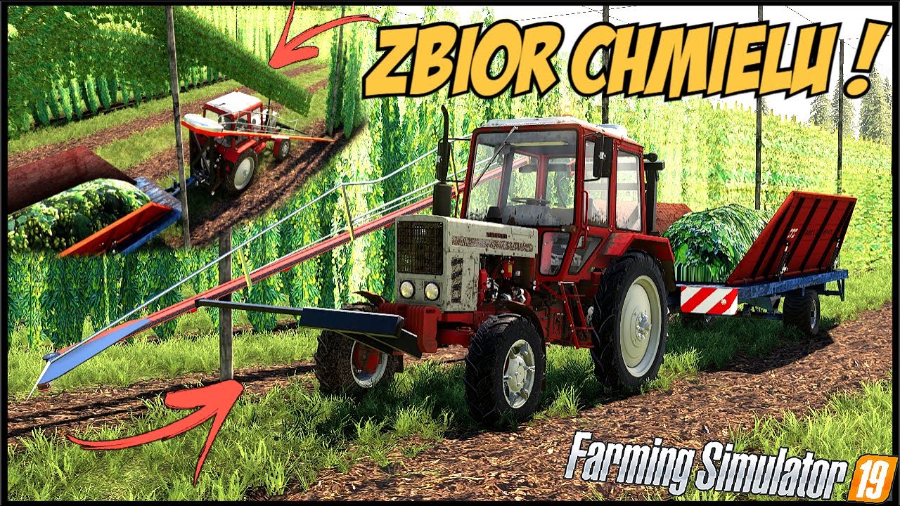 ZBI R CHMIELU W FS 19 3 Najciekawsze Mapy Do FS 19 YouTube zbi r chmielu w fs 19 3 najciekawsze mapy do fs 19 youtube