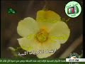 مقدمة البرنامج الديني في نور أسماء الله الحسنى