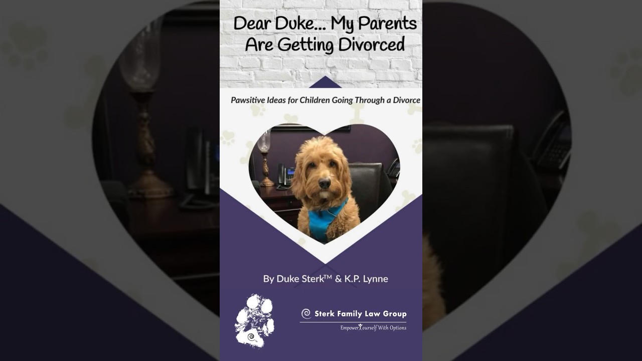 Meet Duke Sterk, Therapy Dog and Pawthor at Sterk Family Law Group P.C.