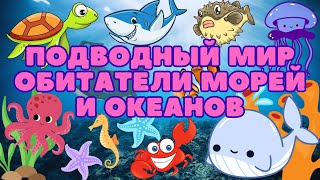 Подводный Мир. Морские Обитатели. Морские Животные. Жители Океана. Развивающее Видео Для Детей