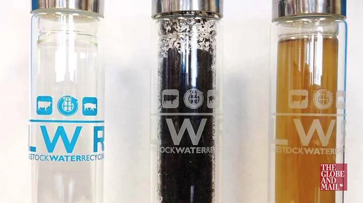 Livestock Water Recycling Inc. builds system that turns animal waste into clean water