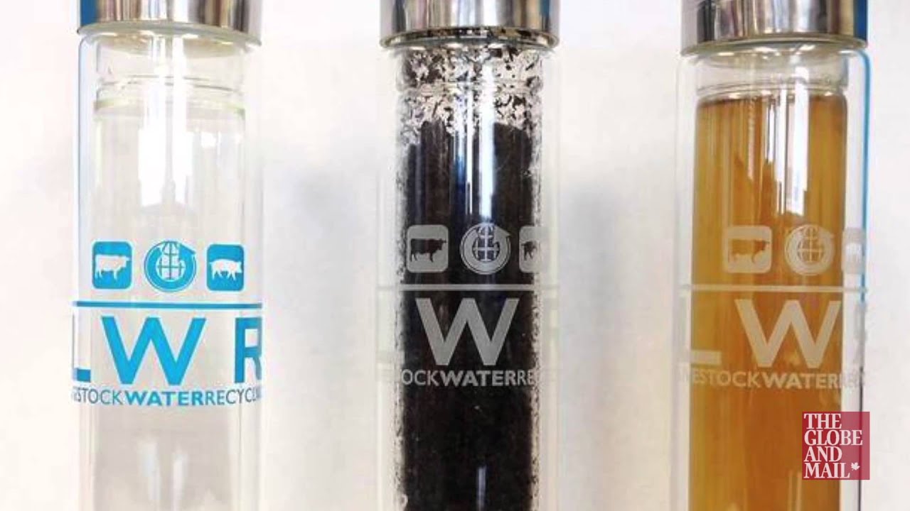 Livestock Water Recycling Inc. builds system that turns animal waste