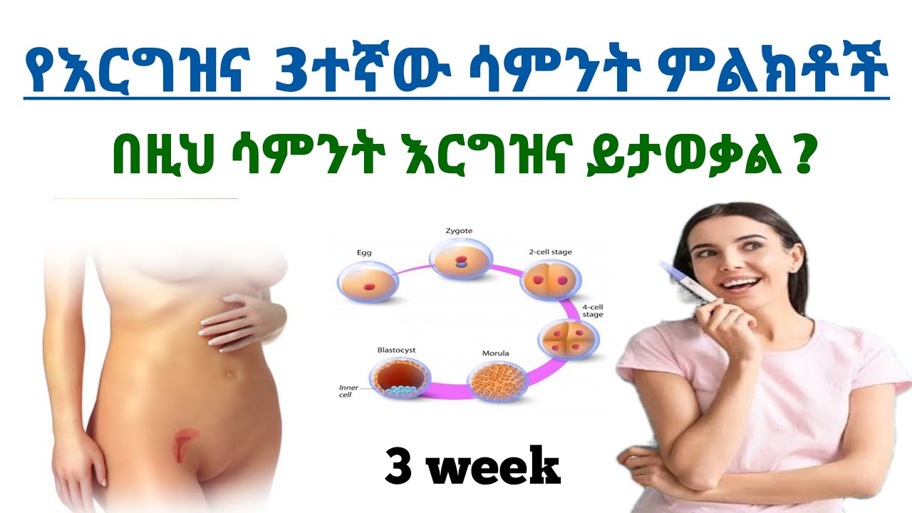 የእርግዝና  3ተኛው ሳምንት ምልክቶች  | The sign of 3rd week pregnancy