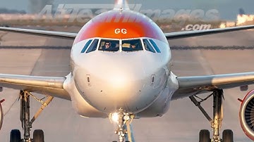 "Not Just a Transport! The C-12 Huron