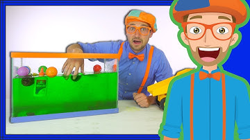 Blippi Sink or Float | Cool Science Experiment for Kids