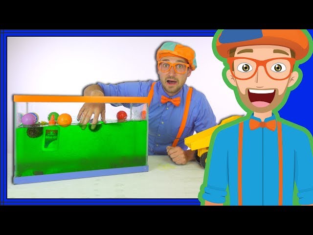 Blippi Sink or Float | Cool Science Experiment for Kids class=