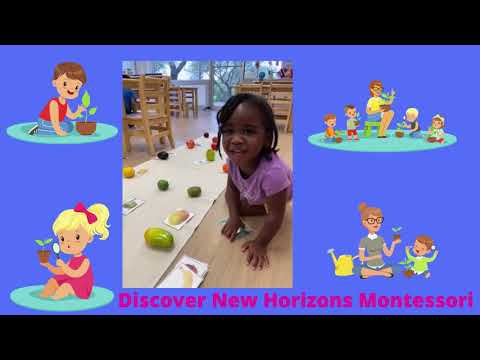 Discover New Horizons Montessori
