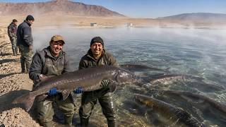 This Is How Mexico Turned 42°C Groundwater Under the Desert Into a Mega Fish Farm This Is How Mexico Turned 42°C Groundwater Under the Desert Into a Mega Fish Farm
