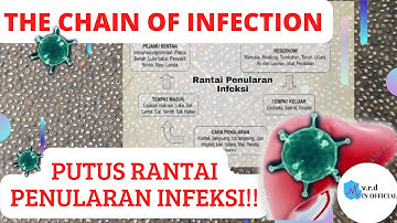HEPATITIS || CHAIN OF INFECTION || RANTAI PENULARAN KUMAN@vrdINOFFICIAL