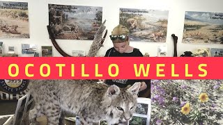 WILD ANIMALS OCOTILLO WELLS DISCOVERY CENTER. LEARNING ABOUT THE DESERT. WILD ANIMALS OCOTILLO WELLS DISCOVERY CENTER. LEARNING ABOUT THE DESERT.