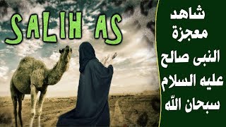 معجزات النبي صالح عليه السلام | قصص الانبياء | قناة ارتقى