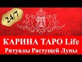 КАРИНА ТАРО Life Онлайн Ритуалы Растущей Луны