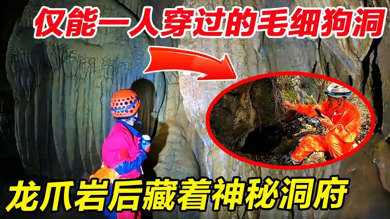 小伙冒死钻入毛细狗洞，当地人声称这里是神仙洞府！巨型龙爪岩后果然藏着一座宫殿！？【户外小北哥 】#古墓#探险 - YouTube