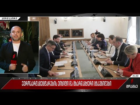 ევროპარლამენტარების ვიზიტი და მხარდამჭერი გზავნილები