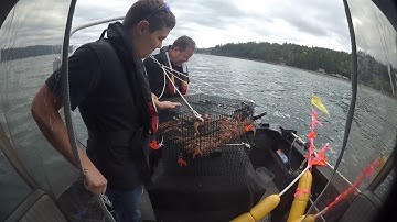 Shrimping Hood Canal 21 Jun 2019
