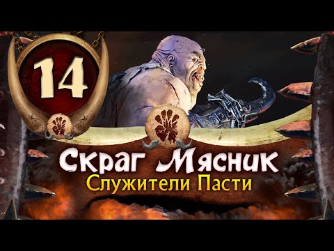 Видео: Скраг Мясник прохождение Total War Warhammer 3 за Огров - #14