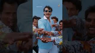 Bulbul… mathadakilva!!  #Darshan #Bulbul #DBoss #DarshanThooogudeepa #DBeats