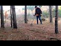 Не успел и оглянутся как наступила ночь. Коп в лесу до самой ночи.