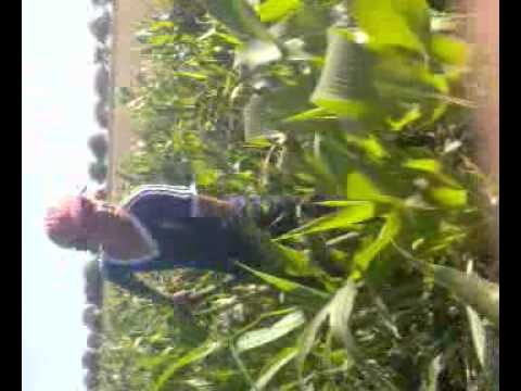 Видео000.3gp