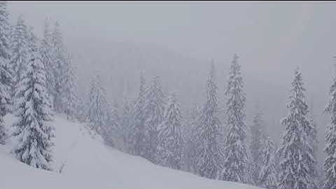 Slide Animation to WeVideo