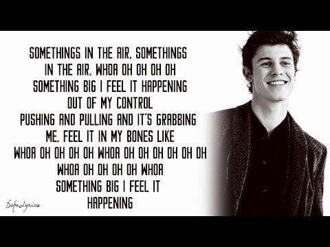 Shawn Mendes - Something Big (Lyrics) 🎵