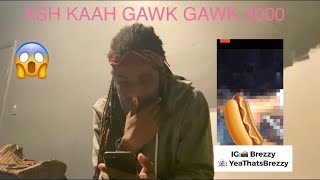 Video thumbnail of "Ash Kaash UNCENSORED Glizzy Gobbling REACTION Video"