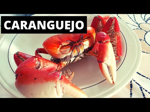 Vídeo: Como Fazer Rolinhos De Caranguejo Deliciosos E Fáceis