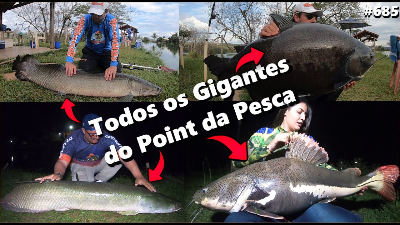 Não pensei que pegaria tanto peixe em uma tarde!! (Fishingtur #685)