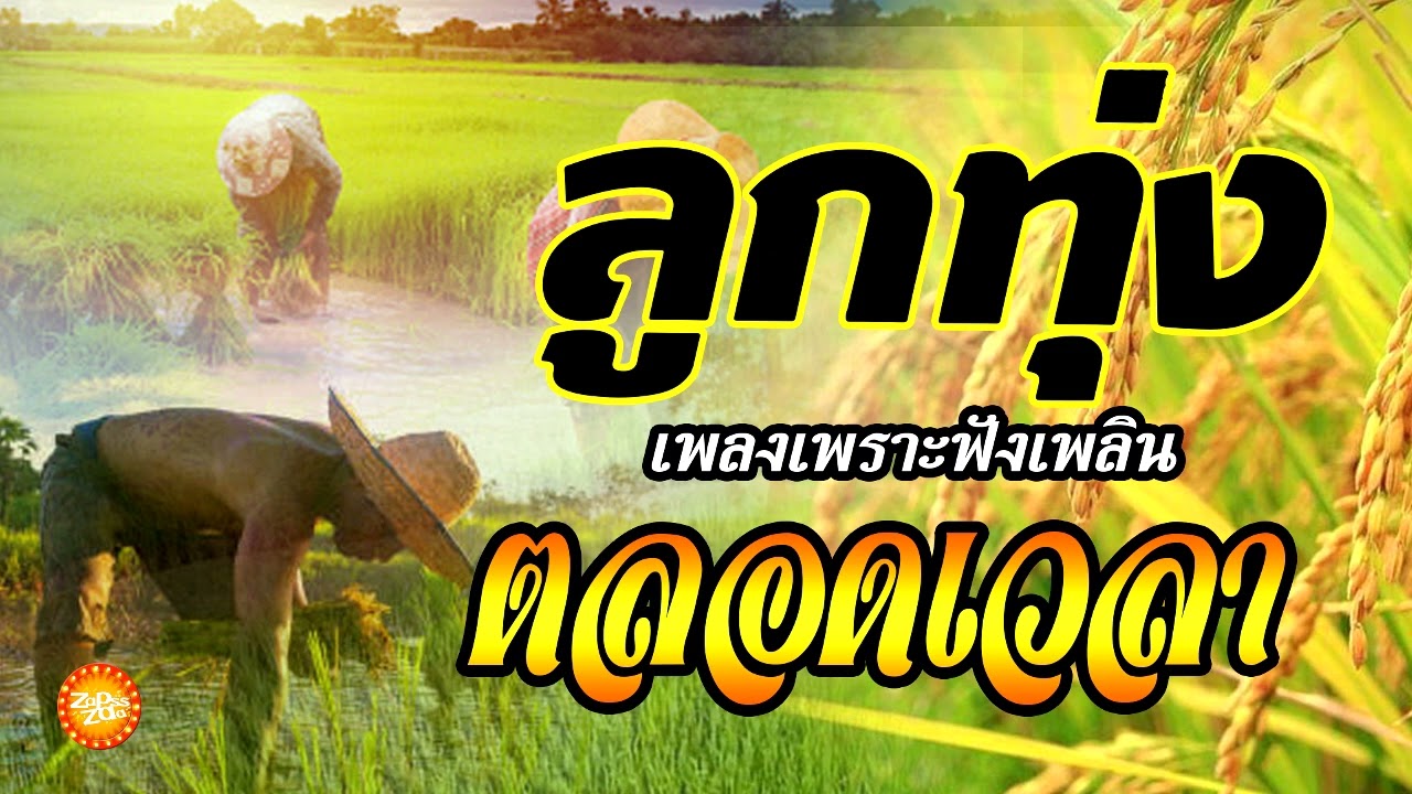 เพลงลูกทุ่งเพราะฟังเพลินตลอดเวลา #เสียงดี