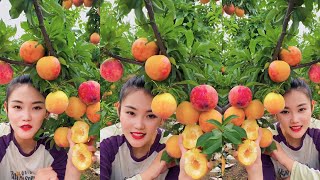 Beautiful Nature fruit cutting|Oddly satisfying fruit ninja part 01|Tasty Fruits cutting