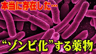 ゾンビは