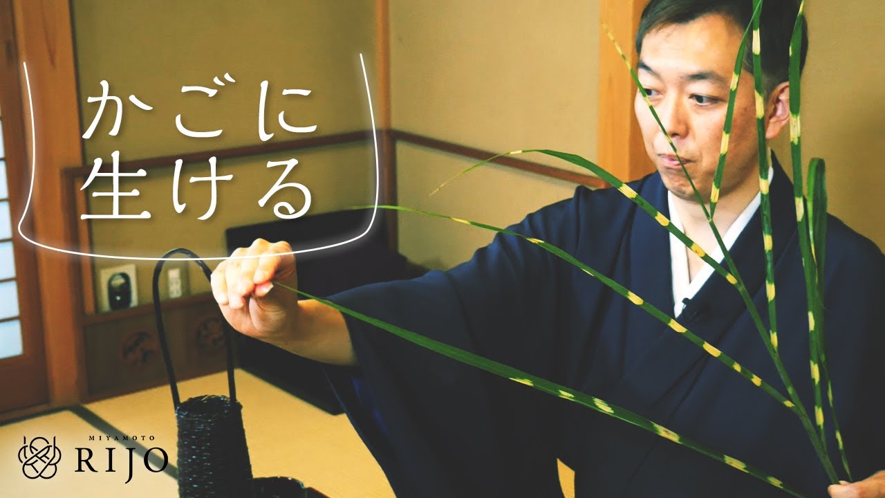 竹籠（たけかご）の花器を使った生け花をご紹介します【Ikebana】華道