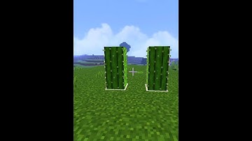 Minecraft logic that makes no sense (Part-20) #short #minecraft