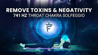 Remove Toxins & Negativity: 741 Hz Healing Frequency, Throat Chakra Solfeggio