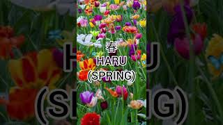 Four seasons in Japanese Four seasons in Japanese